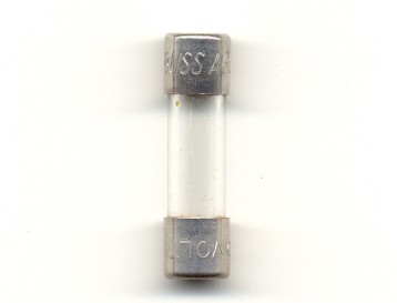 AGU-1 Bussmann 1Amp (5AG) Fast Acting Fuse